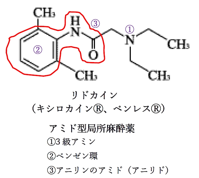 局所麻酔薬の構造の特徴 薬学化学